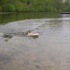 Båd ¤´¯`·.¸Airboat¸.·´¯`¤