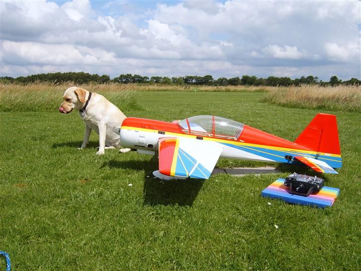 Fly YAK-54. Tømt og solgt. billede 5