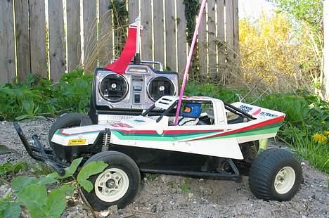 Buggy Grasshopper - Still going strong fra 1994 og her med den gamle pinde sender billede 1