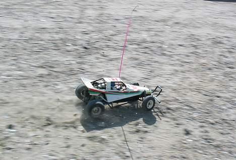 Buggy Grasshopper billede 6