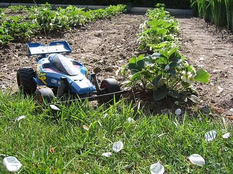 Buggy Tamiya Avante 2001 billede 11