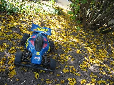 Buggy Tamiya Avante 2001 billede 16