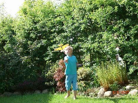 Fly x-twin billede 9