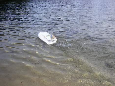 Båd  / sumpbåd billede 8