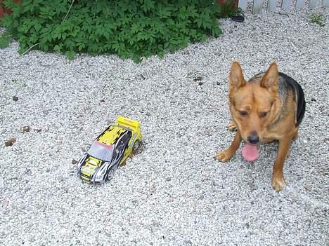 Bil Hbx Onroad  billede 2