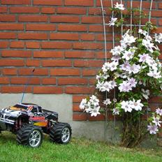 Off-Roader T-Maxx 2,5R