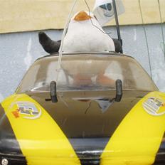 Off-Roader FG Monster truck