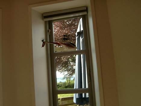 Helikopter PicooZ - lige 2 minutter før styeret billede 7