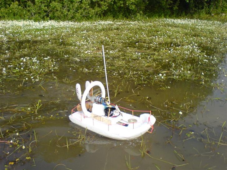 Båd ¤´¯`·.¸Sumpbåd¸.·´¯`¤ billede 9