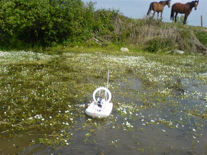 Båd ¤´¯`·.¸Sumpbåd¸.·´¯`¤ billede 11