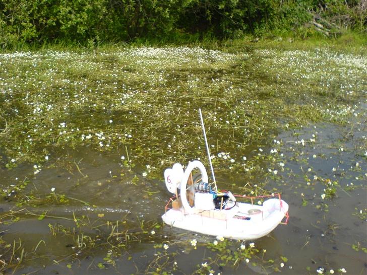 Båd ¤´¯`·.¸Sumpbåd¸.·´¯`¤ billede 12