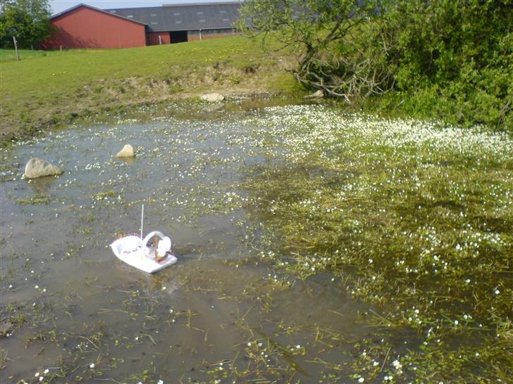 Båd ¤´¯`·.¸Sumpbåd¸.·´¯`¤ billede 15