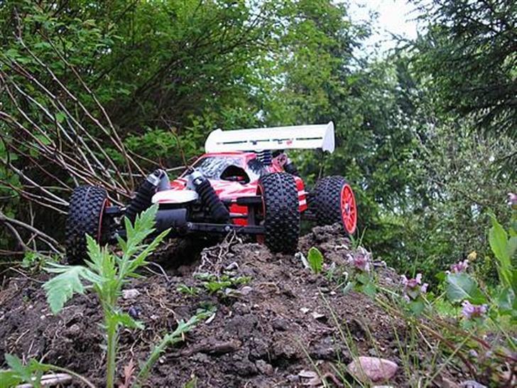 Buggy GVM rex-x billede 9