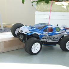 Off-Roader Cheetah Truggy