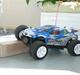 Off-Roader Cheetah Truggy