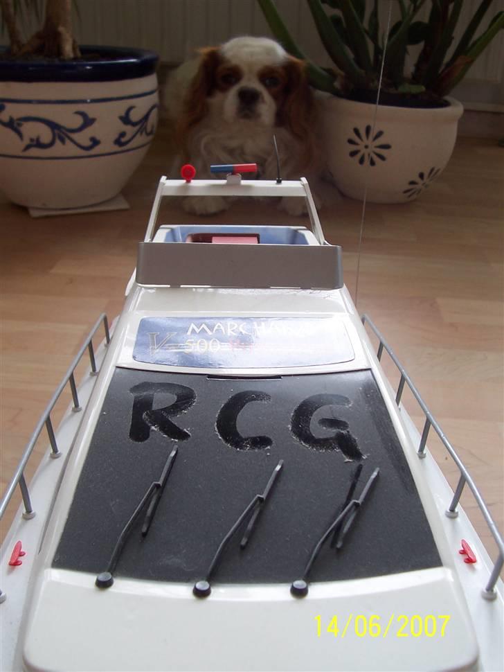 Båd Marchand - Min Hund der lurer i baggrunden billede 2