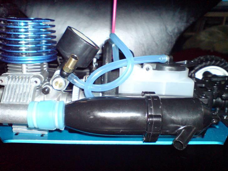 Buggy Leopard (Solgt) billede 8