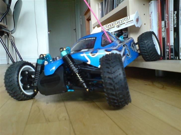 Buggy Leopard (Solgt) billede 13