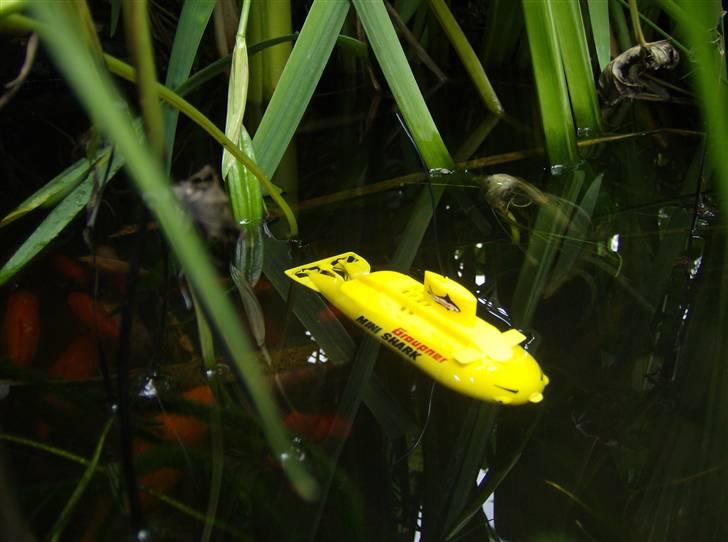 Båd U Båd Graupner mini shark - Så dykker vi billede 14