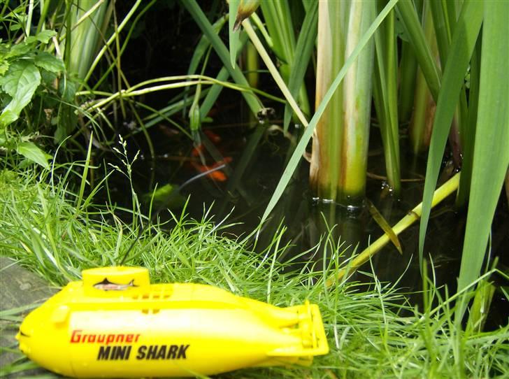 Båd U Båd Graupner mini shark - Så kom jeg på land igen. billede 18