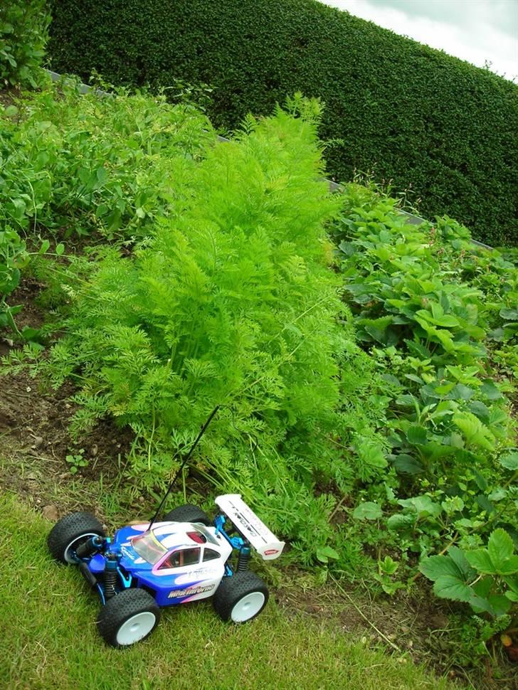 Buggy Mini Inferno Solgt billede 20