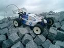 Buggy Matrix RTR