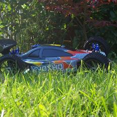 Buggy Inferno MP7.5 (SOLGT)