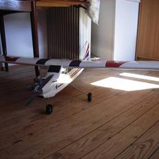 Fly Jamara Air trainer *DØD*