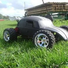 Buggy FG beetle