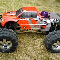 Off-Roader Savage 25 RTR