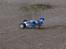 Buggy Kyosho inferno us sports - Under tilkørsel...