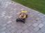 Buggy bazooka pro