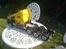 Lastbiler Tamiya Ford Aeromax 8x6