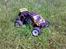 Truck Mini-T PRO Team Losi