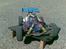 Buggy GV rex-x