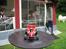 Buggy Off-Road 4WD