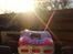 Off-Roader Team Losi Mini T 