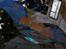 Off-Roader Thunder Tiger MTA4 - 003