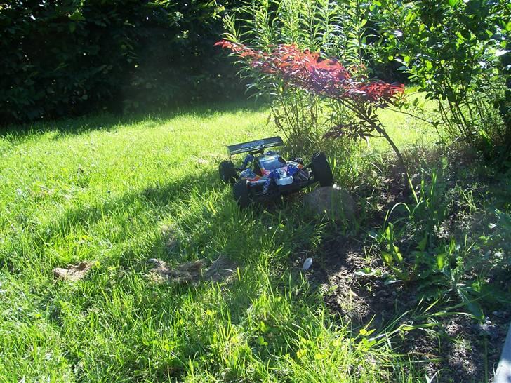 Buggy Inferno MP7.5 (SOLGT) billede 8