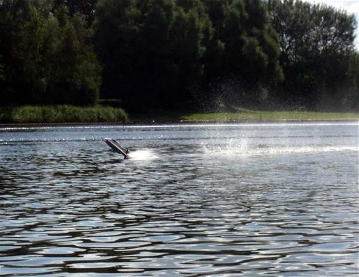 Båd Catamaran billede 10