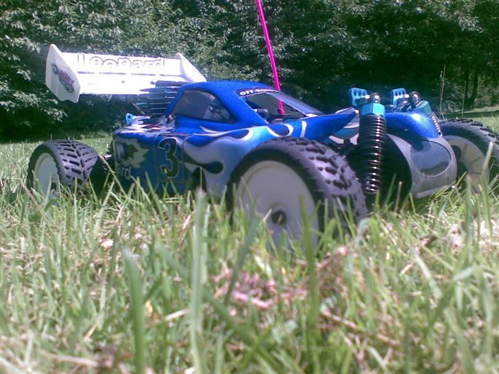 Buggy Leopard (Solgt) billede 15