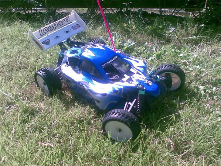 Buggy Leopard (Solgt) billede 16