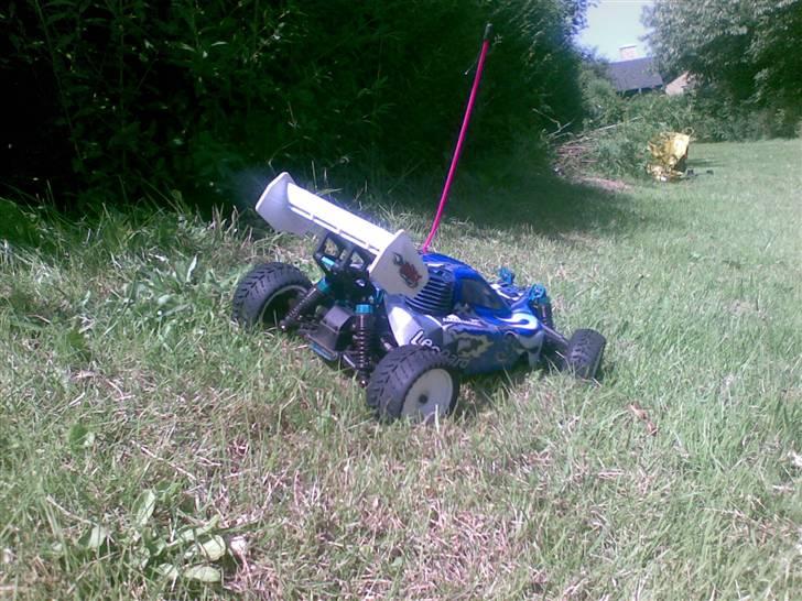 Buggy Leopard (Solgt) billede 17