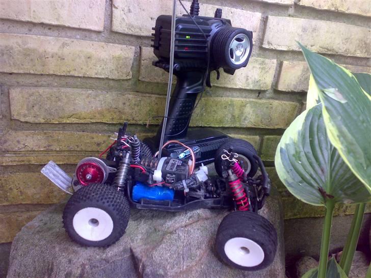 Truck Mini-T PRO Team Losi billede 18