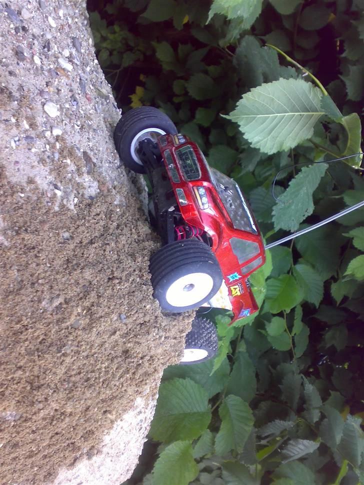 Truck Mini-T PRO Team Losi billede 20