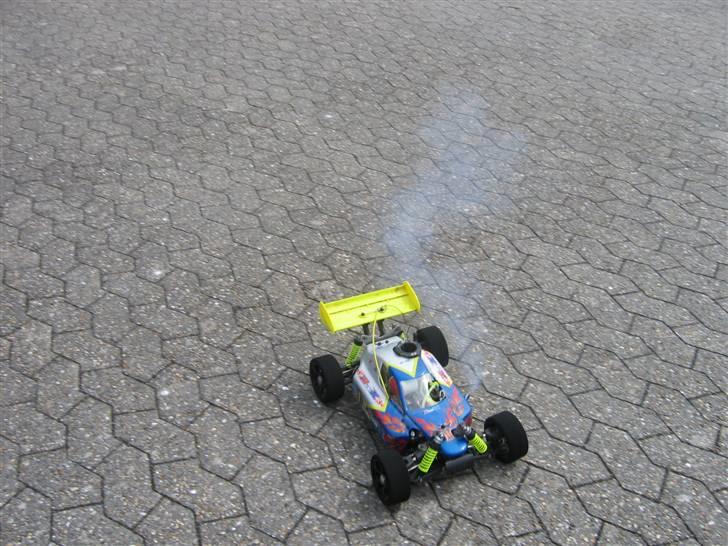 Buggy Rex-x billede 2