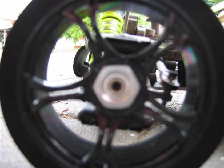 Buggy Rex-x billede 9