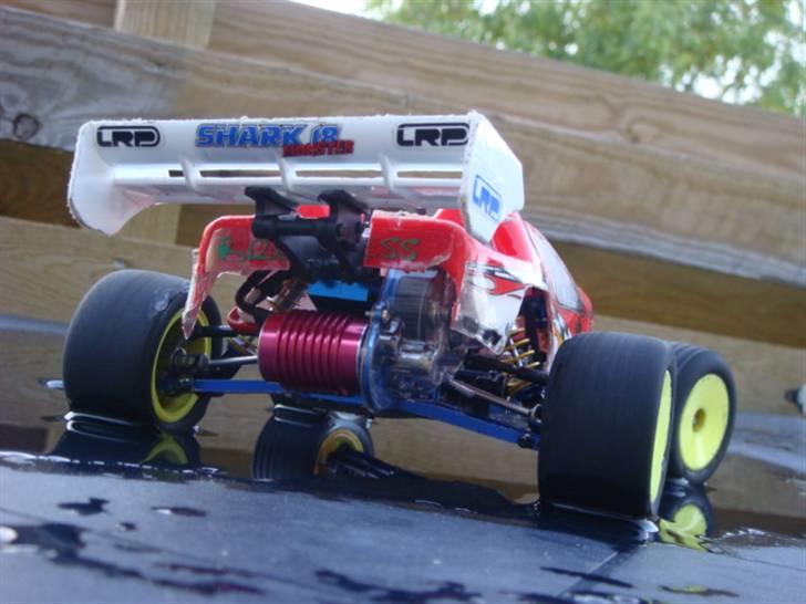 Off-Roader Team Losi Mini T  billede 6