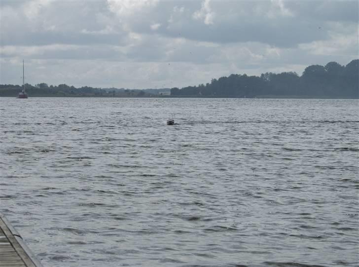 Båd Traxxas Villain EX billede 18