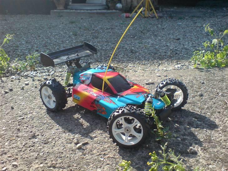 Buggy Rex-x billede 19
